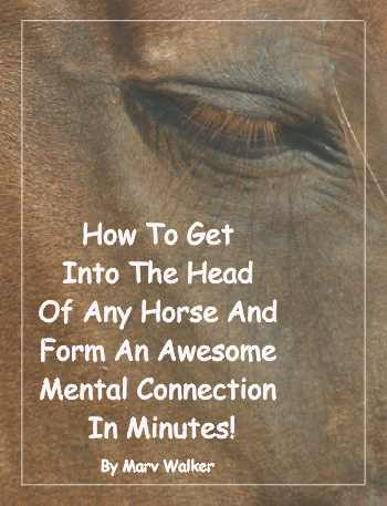 Image of Getting Inside The Head Of Any Horse e-book cover.